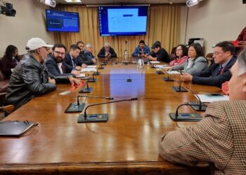 Autoridades regionales se reúnen con pescadores por votación de proyecto que permite ingreso de flotas a depredar recursos de Aysén