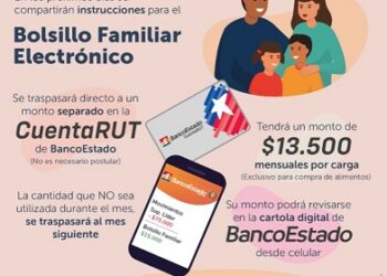 COMIENZAN A PAGAR BOLSILLO ELECTRÓNICO