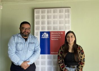 Gobierno promulga nueva Ley de Insolvencia y es publicada en el Diario Oficial