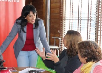SEREMI de Gobierno prepara Diálogo Ciudadano y Escuela de Formación para organizaciones sociales
