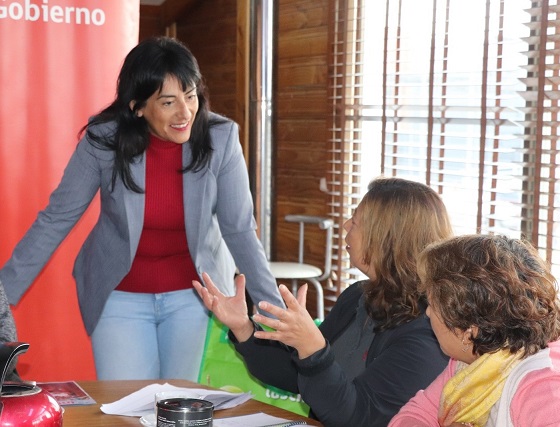SEREMI de Gobierno prepara Diálogo Ciudadano y Escuela de Formación para organizaciones sociales