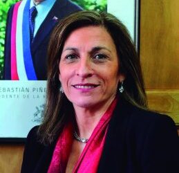 Pilar Cuevas y Julio Ñanco son elegidos para el Consejo Constitucional