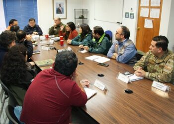 Senapred decreta Alerta Verde Temprana Preventiva por Influenza Aviar en Aysén
