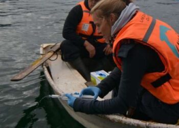 Cierre del proyecto MOBI-Aysén: ADN ambiental muestra exitosos resultados en detección de mamíferos marinos