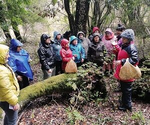 INFOR realiza Gira Tecnológica con Recolectoras de Productos Forestales No Madereros de la Región Aysén