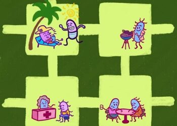 Investigador UAysén crea paisajes en un chip para estudiar cómo las bacterias colonizan los ecosistemas