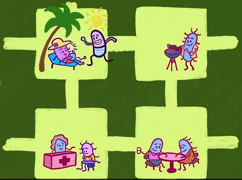 Investigador UAysén crea paisajes en un chip para estudiar cómo las bacterias colonizan los ecosistemas
