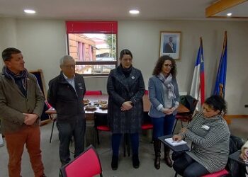 GOBIERNO RECOGE IDEAS DE AYSÉN PARA LA CREACIÓN DE UN  SISTEMA NACIONAL DE CUIDADOS EN CHILE