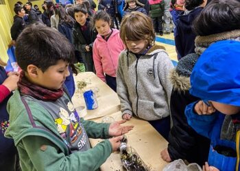 Con feria ambiental en escuela Altamira relevan 50 años del Día Internacional del Medio Ambiente