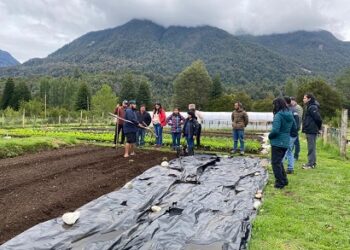 INDAP y Seremi de Agricultura Entregan recomendaciones para cuidado de frutales y hortalizas en época de receso invernal