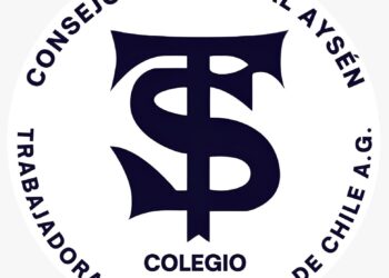 Conforman Colegio de Trabajadores y trabajadoras sociales
