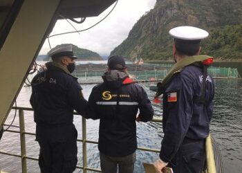 Sernapesca Aysén logra nuevo triunfo en Tribunales contra empresa salmonera