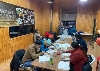 Seremi de las Culturas Aysén democratiza acceso a actividades artísticas con iniciativas colaborativas