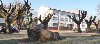 DECLARACIÓN PUBLICA -CARTA ABIERTA AL ALCALDE DE COYHAIQUE