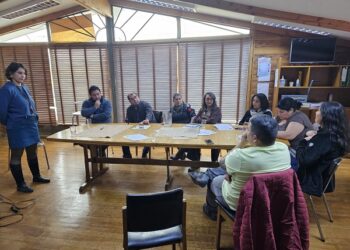 FUNCIONARIOS DE LA SEGEGOB AYSÉN SE ACTUALIZAN EN MATERIAS DE PREVENCIÓN CONTRA LA VIOLENCIA DE GÉNERO