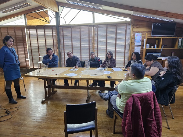 FUNCIONARIOS DE LA SEGEGOB AYSÉN SE ACTUALIZAN EN MATERIAS DE PREVENCIÓN CONTRA LA VIOLENCIA DE GÉNERO