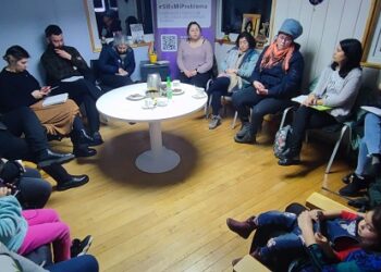 ANDREA MÉNDEZ SEREMI DE LA MUJER Y LA EQUIDAD DE GÉNERO: LA “CUECA SOLA” SALE A LAS CALLES DE COYHAIQUE