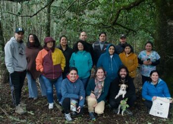 Con gira al norte del país productores y productoras de Aysén conocen la fungicultura y producción de hongos silvestres comestibles