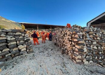 CONAF INVITA A BENEFICIARIOS (AS) DEL PROGRAMA DE RESTAURACIÓN Y MANEJO SUSTENTABLE A RETIRAR SUS BENEFICIOS.