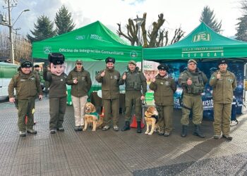 Carabineros Aysén junto al Delegado Presidencial destacan el valioso aporte de los canes policiales en la investigación y prevención del delito
