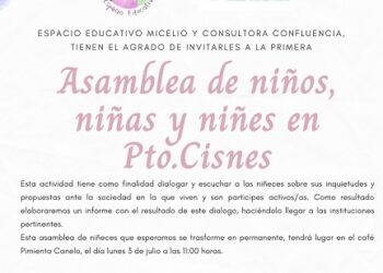 En Puerto Cisnes se realiza la Primera Asamblea de Niñeces