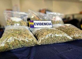 Desbaratan tráfico de más de 6 kilos de marihuana prensada con destino a Puerto Aysén