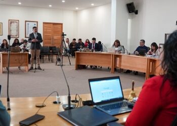 Buses eléctricos para la comuna de Aysén: CORE aprueba adquisición de vehículos para traslado de estudiantes y adultos mayores