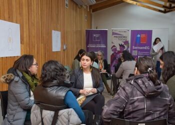 Seremi de la Mujer lidera primera jornada de reflexión y trabajo de la Red Institucional de Género en Aysén 