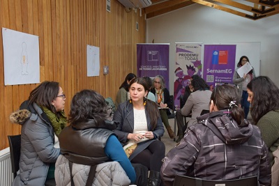 Seremi de la Mujer lidera primera jornada de reflexión y trabajo de la Red Institucional de Género en Aysén