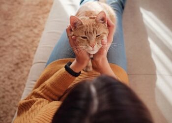 COLMEVET LLAMA A LA CALMA Y A PREVENIR EL CONTAGIO CON TENENCIA RESPONSABLE INDOOR