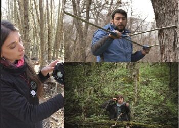 Investigación para el uso sostenible de sistemas silvoagropecuarios