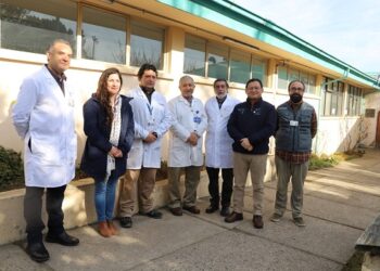 Más de 20 patologías ya son definidas en Laboratorio de Biología Molecular del Hospital Regional Coyhaique