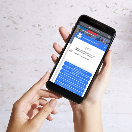Bienes Nacionales habilita “Chat Bot” para facilitar acceso a información