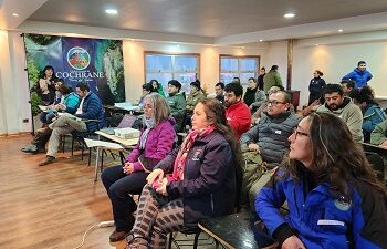 CON ÉXITO SE DESARROLLÓ TALLER DE ARRIENDO DE INMUEBLES FISCALES EN COCHRANE
