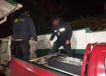 Sernapesca comenzó despliegue de fiscalización ad portas a la veda de la merluza común