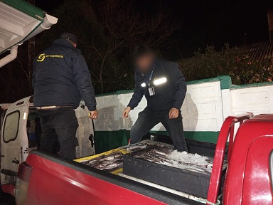 Sernapesca comenzó despliegue de fiscalización ad portas a la veda de la merluza común