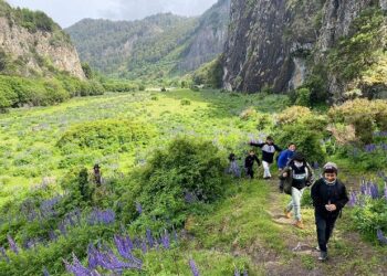 Proyecto Explora Aysén apuesta por fortalecer la ciencia escolar en la región