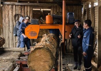 Corfo Aysén impulsa el crecimiento del sector forestal mediante capacitación técnica y promoción de la innovación