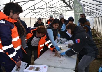 Instituto Forestal imparte capacitaciones en Cochrane como parte del Programa FNDR Silvícola