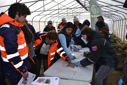 Instituto Forestal imparte capacitaciones en Cochrane como parte del Programa FNDR Silvícola