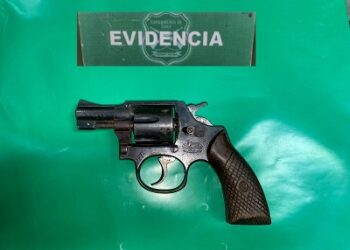 Carabineros de Coyhaique detuvo a dos sujetos por hurto y porte de arma de fuego en ramadas