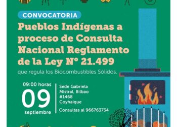 Seremi de Energía Invita a participar en la Consulta Indígena del Reglamento de la Ley de Biocombustibles Sólidos