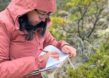 Científica de Aysén realizó proyecto para aportar valor a la apicultura 