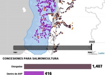 Polémica en Aysén: Organizaciones denuncian que sectores salmoneros buscan “torpedear” nuevo intento de regular concesiones en áreas protegidas
