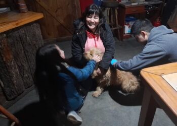 Operativos veterinarios de Aysén benefician a más de 300 mascotas y promueven la tenencia responsable