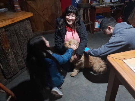 Operativos veterinarios de Aysén benefician a más de 300 mascotas y promueven la tenencia responsable