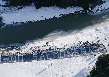 Comunidades de la Patagonia valoran medida del gobierno de suspender concesiones salmoneras en áreas protegidas sin plan de manejo