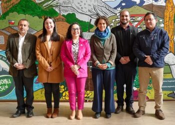 Se retoma Plan de Recambio de Calefactores: 2.200 aparatos se instalarán en 2024