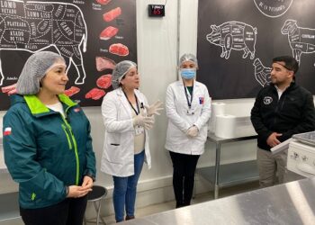 Seremi de Salud y SAG Refuerzan llamado a Comprar Alimentos Solo en Locales Autorizados