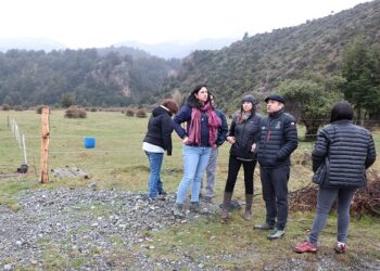 Minvu, Municipio y vecinos comprometen trabajo conjunto para impulsar el desarrollo de Puerto Sánchez